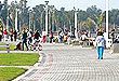 DEFENSA COSTERA SUR - Paseos y excursiones en Gualeguay