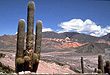 Quebrada de Huichaira - Paseos y excursiones en Tilcara