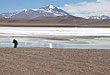 Laguna Brava - Paseos y excursiones en La Rioja