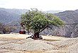 Cablecarril Chilecito - Paseos y excursiones en La Rioja