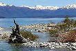Siete Lagos - Paseos y excursiones en Bariloche