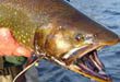 Pesca - Paseos y excursiones en Bariloche