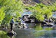 PESCA DEPORTIVA - Paseos y excursiones en San Martín de los Andes