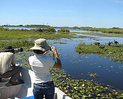 Esteros del Iberá