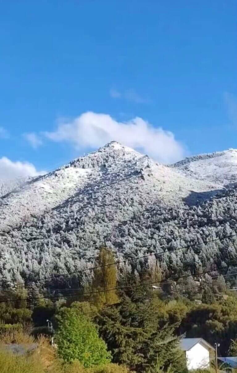Patagonian Apartments en Bariloche