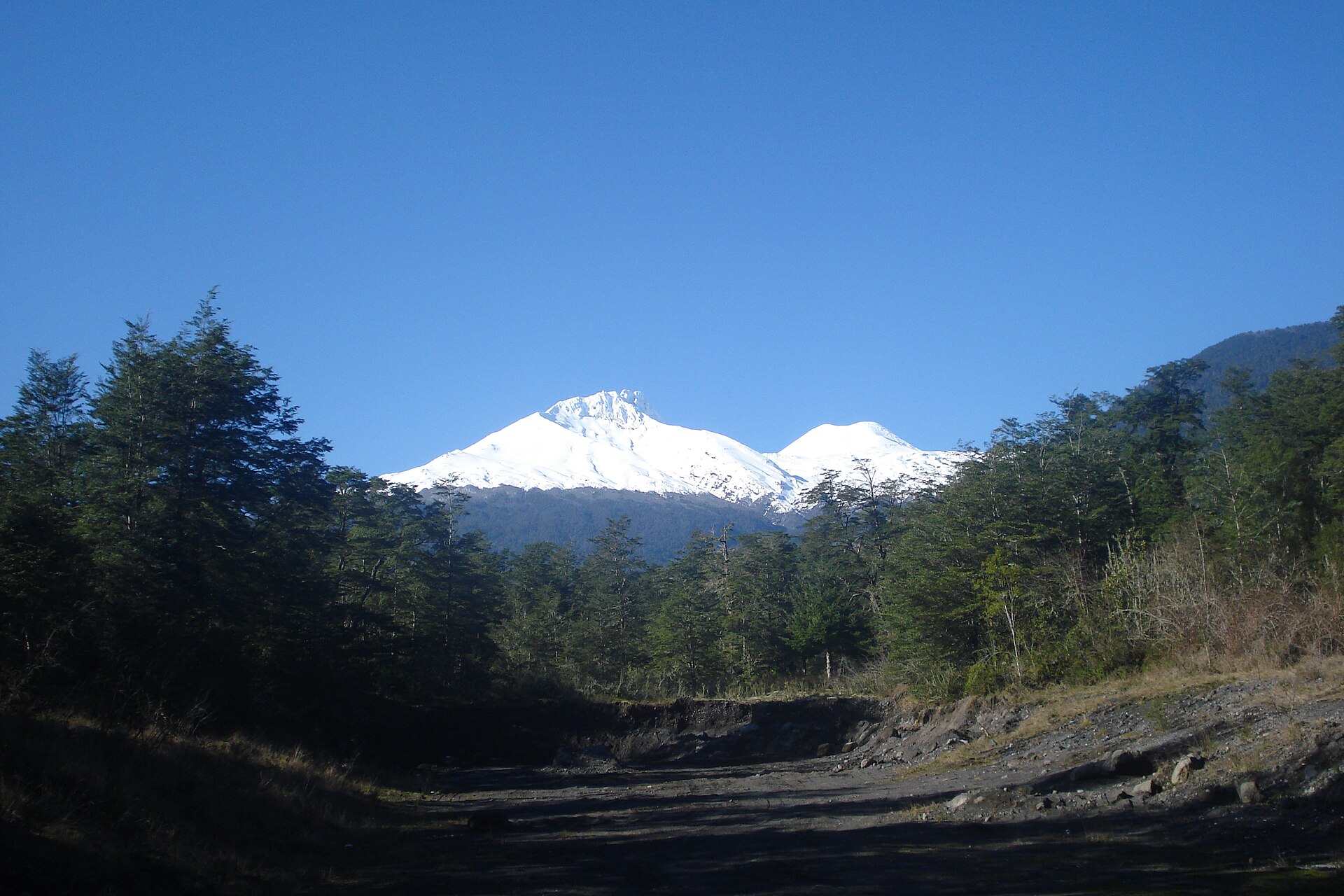 Cabañas en Choshuenco
