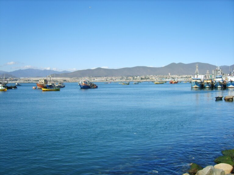 Cabañas en Coquimbo