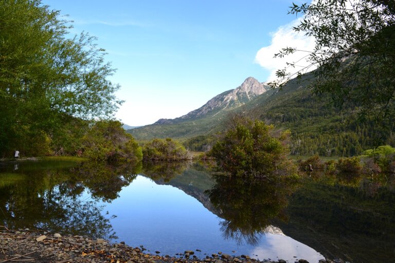 Cabañas en Epuyén