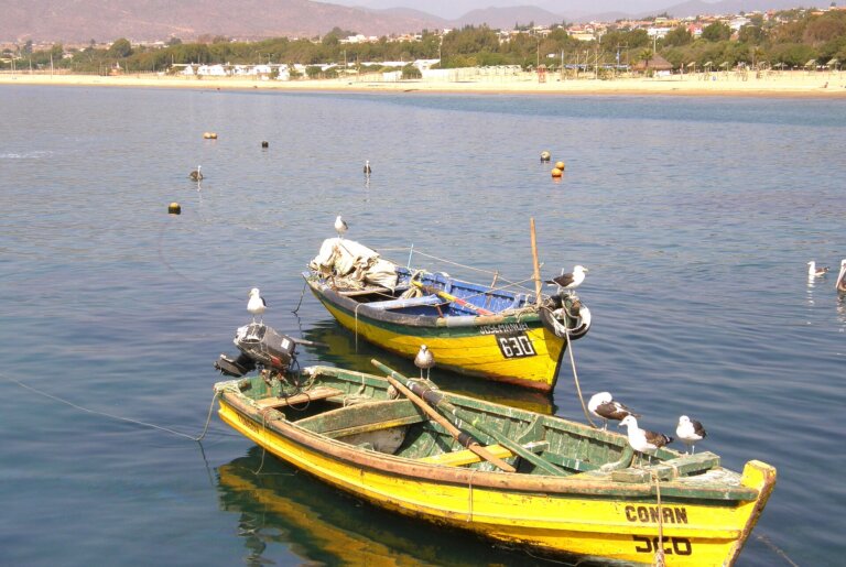 Cabañas en Guanaqueros