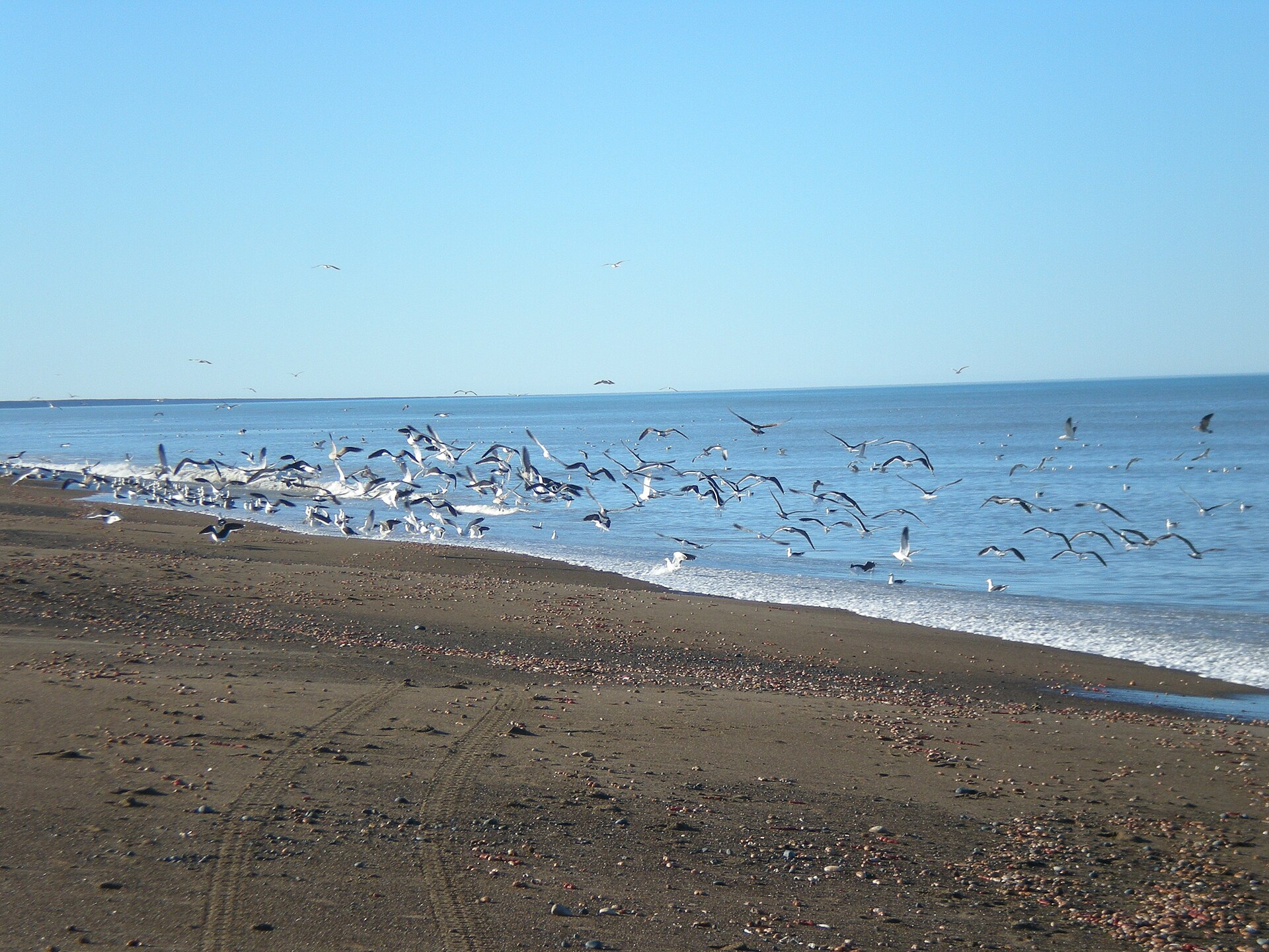 Cabañas en Playa Unión