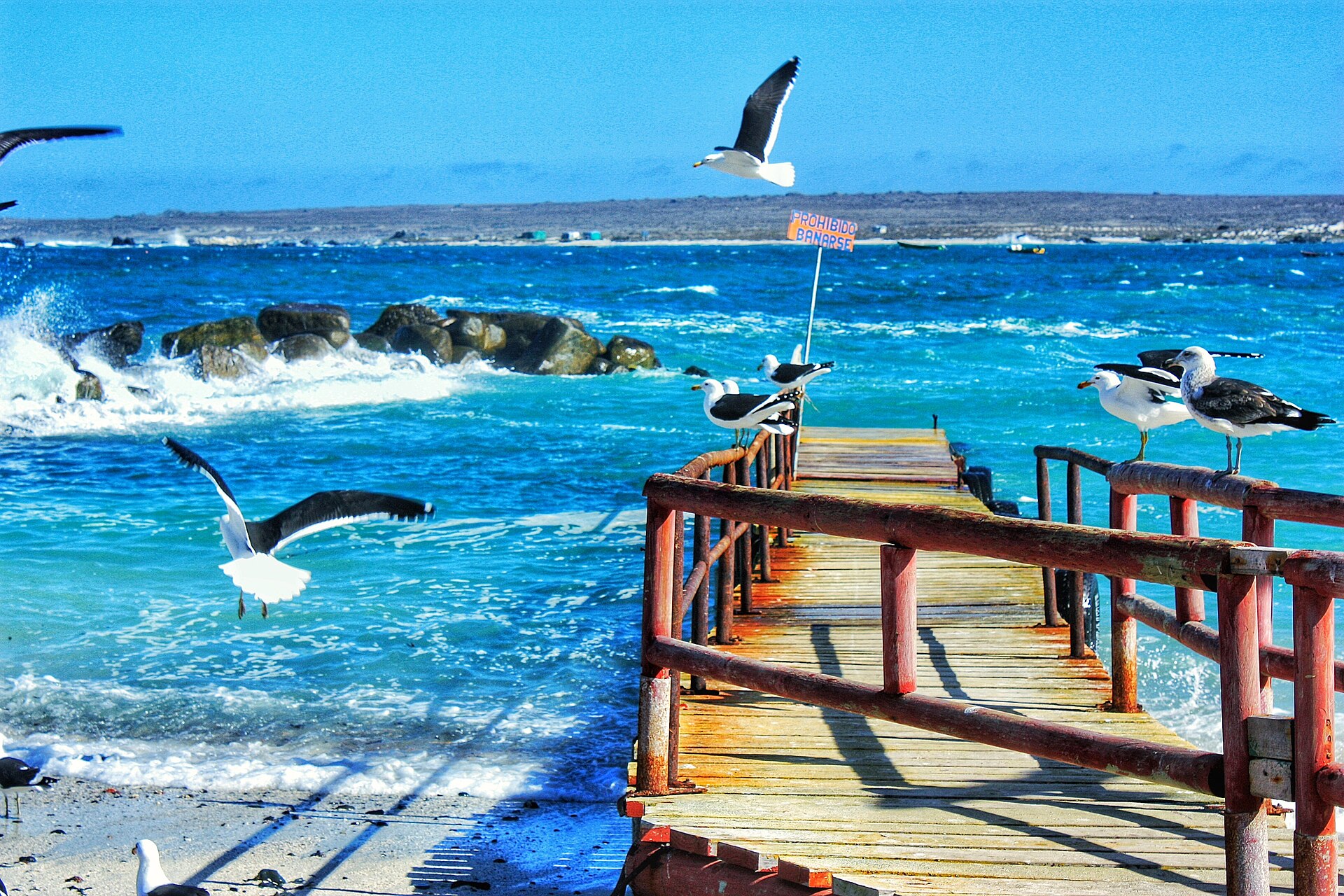 Cabañas en Punta de Choros