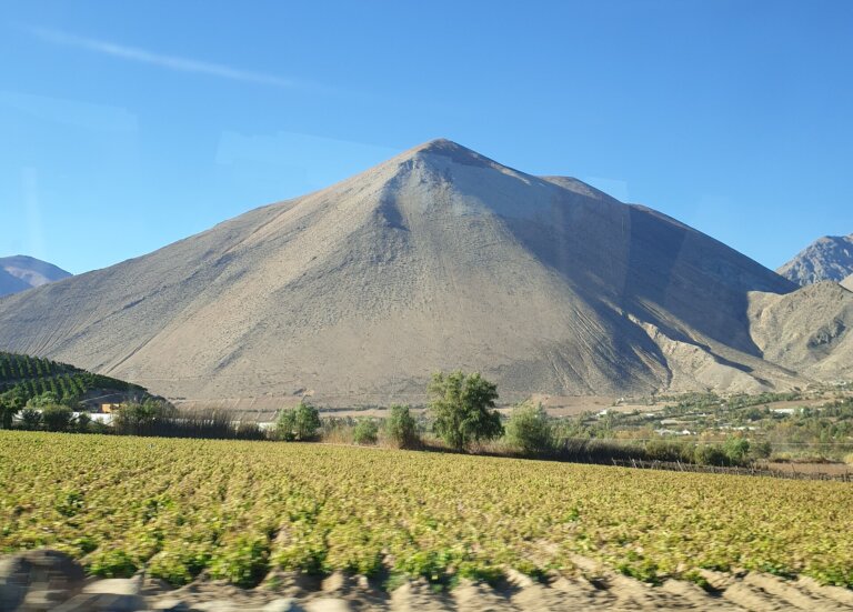 Cabañas en Vicuña